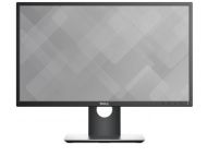 Dell DELL P2317H