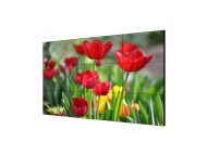 HIKVISION DS-D2055UL-1B